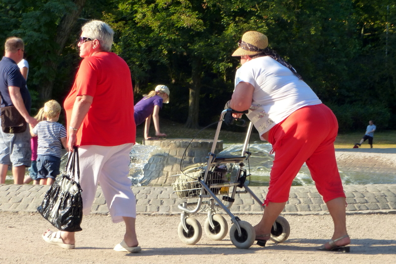 P1010367_1_1.JPG