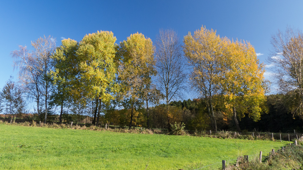 Boell Rundweg Much.jpg