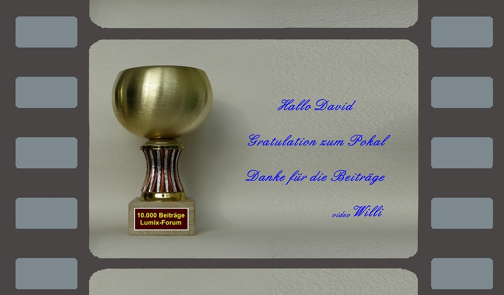 Pokal für David.jpg