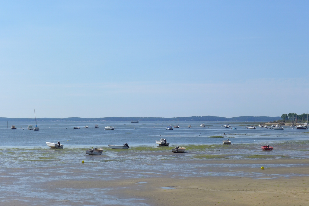 P1050236.JPG