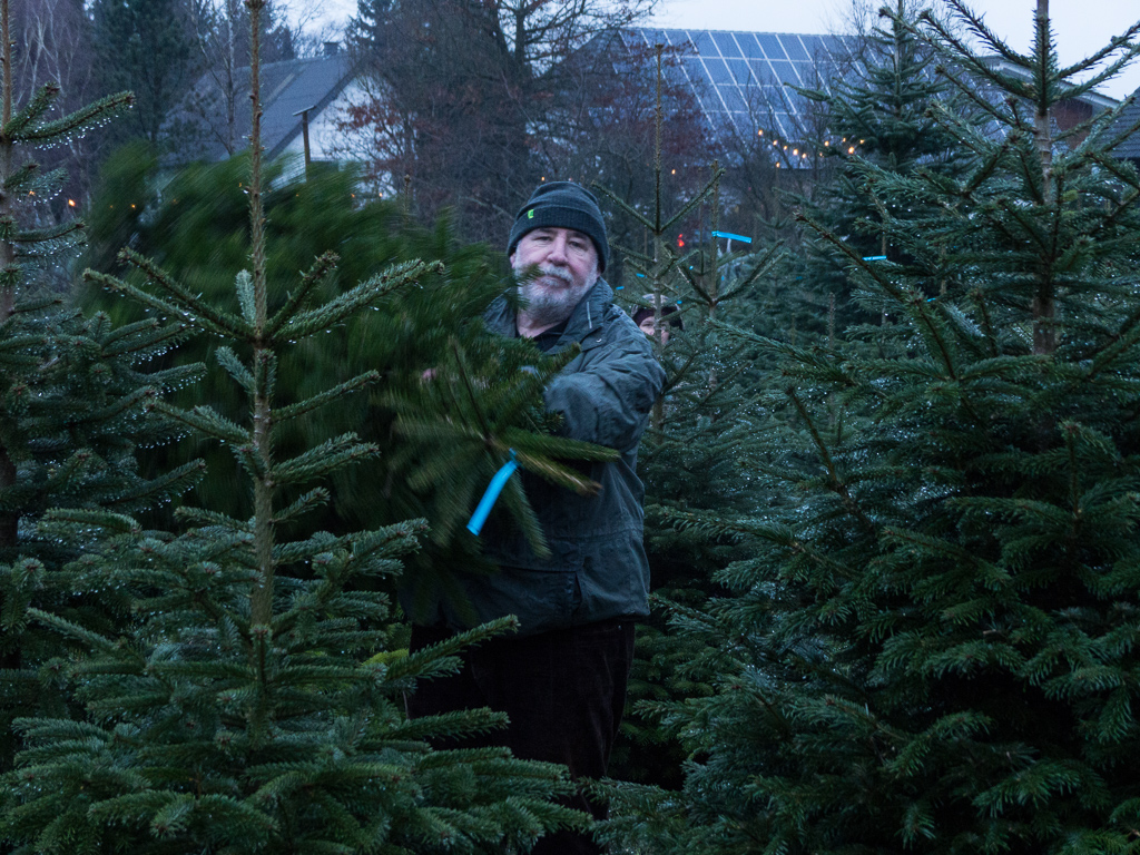 Weihnachtsbaumschlagen_20141213_16-05-39.jpg