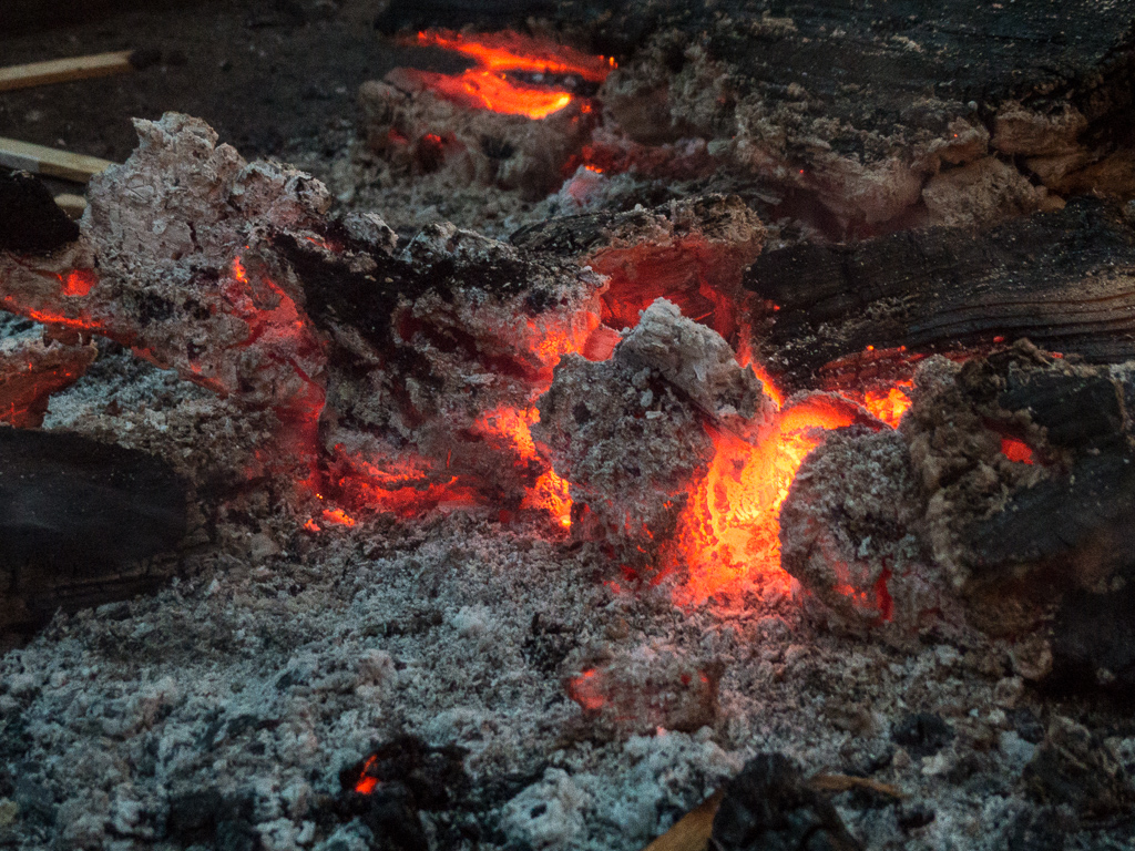 Weihnachtsbaumschlagen_20141213_16-46-24.jpg