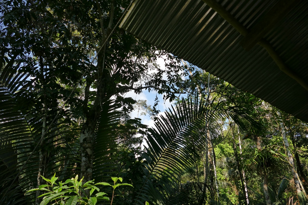 comp_P1050737.jpg