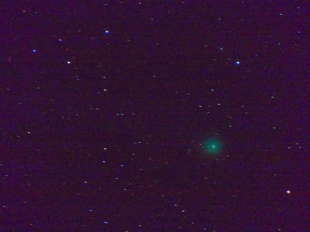 lovejoy 1 fz-korr kl nr.jpg