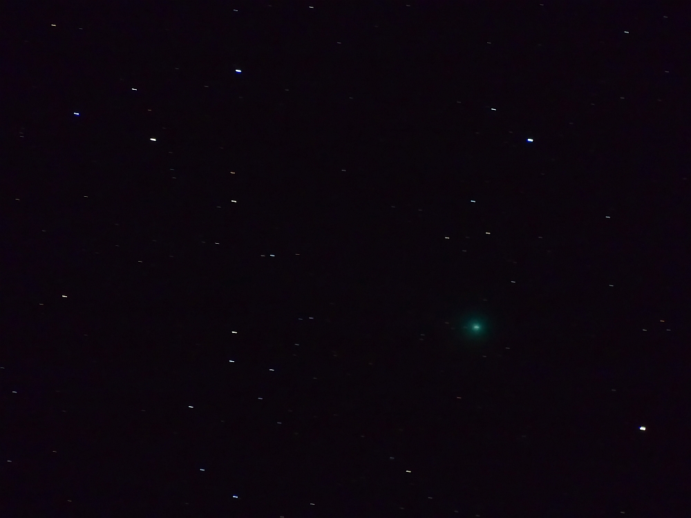lovejoy 1 pur nr kl.jpg