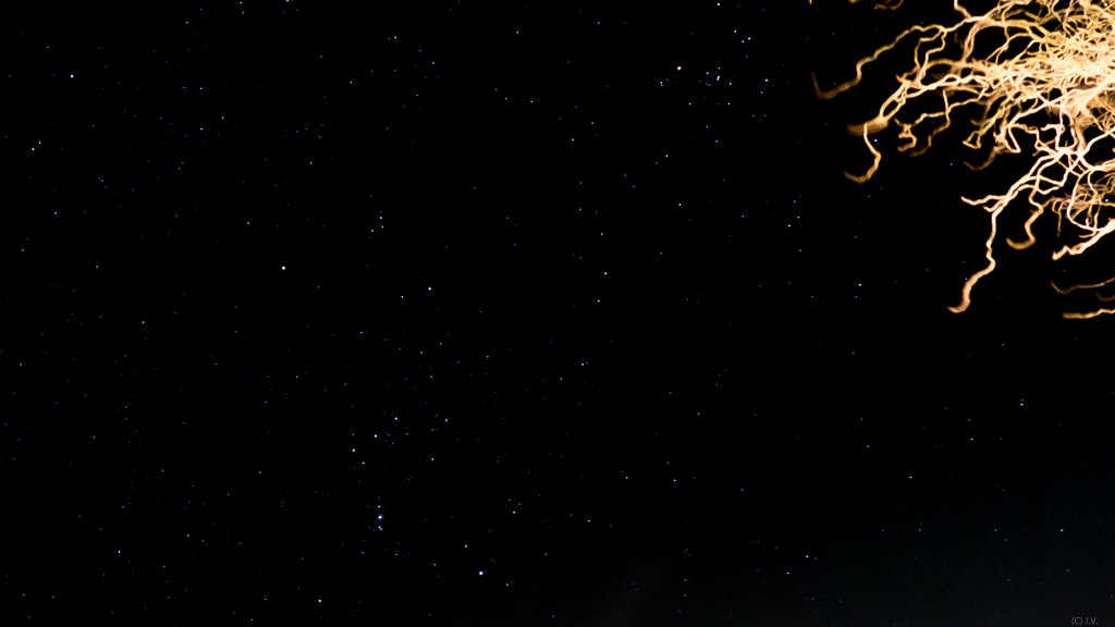 2015_Jan_20_27132713.jpg