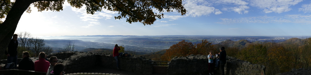 P1020019.JPG