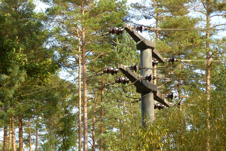 P1200766 Strommast im Schwarzachtal bei Feucht.JPG