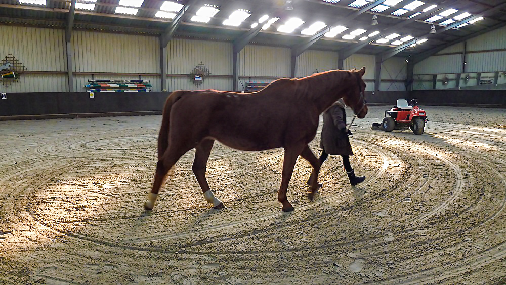 P1010616_klein.jpg