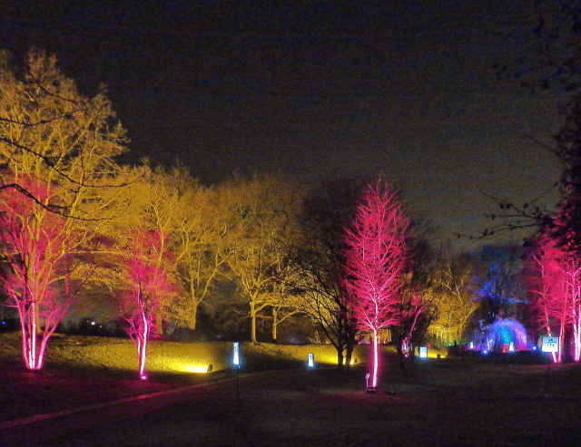 P1080624_ShiftN_6_1.jpg