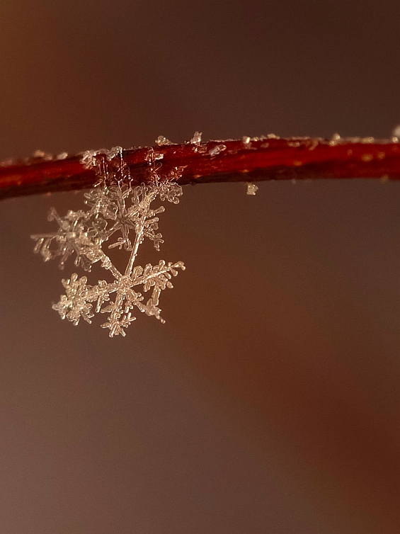 03. Woche (ChristinaM)_klein.jpg