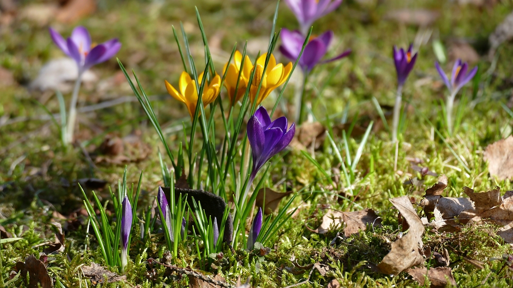 verkleinert-xP1280756xx - Kopie.jpg