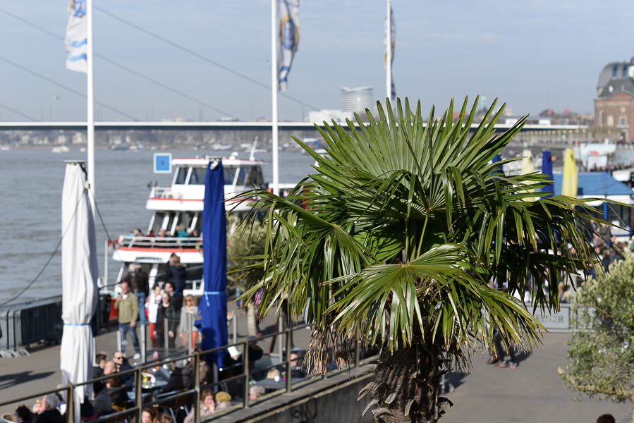 DSC_1014.jpg