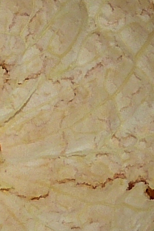 P1000622 - Kopie.JPG