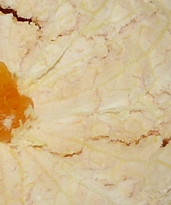 P1000622 - Kopie (2).JPG