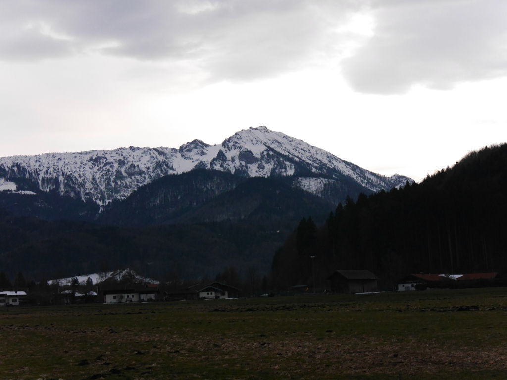 P1000505.JPG