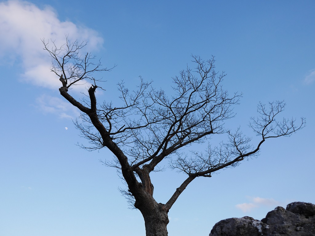 P1000266 - Kopie.JPG