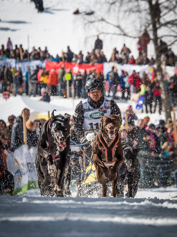 08. Woche (son)_klein.jpg