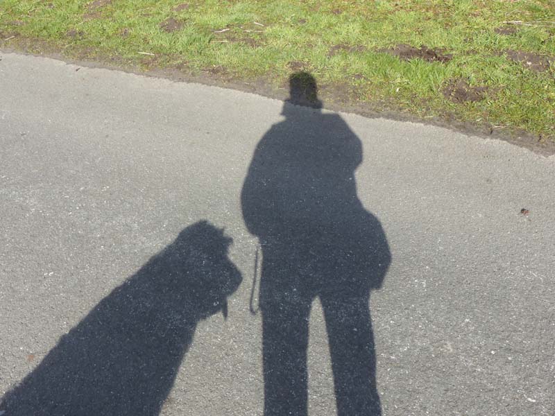 P1030838a.jpg