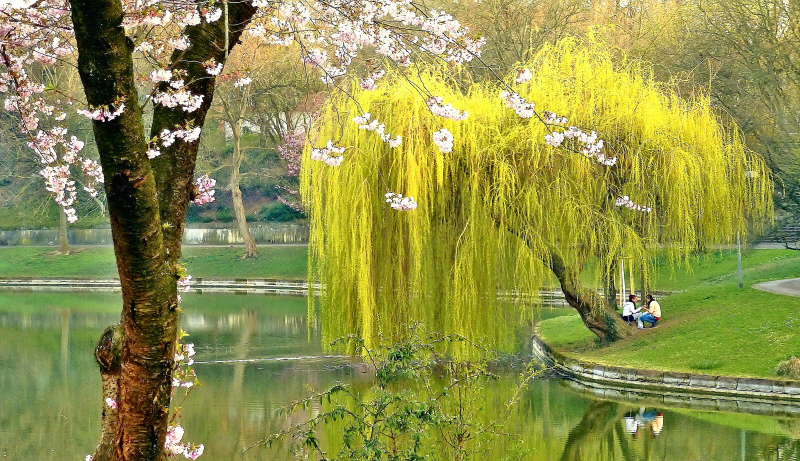 P1000459b_3_1.jpg
