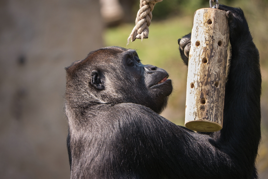 comp_Affiges 12 (P1070544).jpg