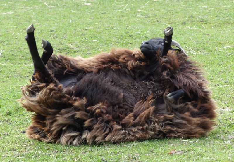 P1040730 Schnuckenfreuden.jpg