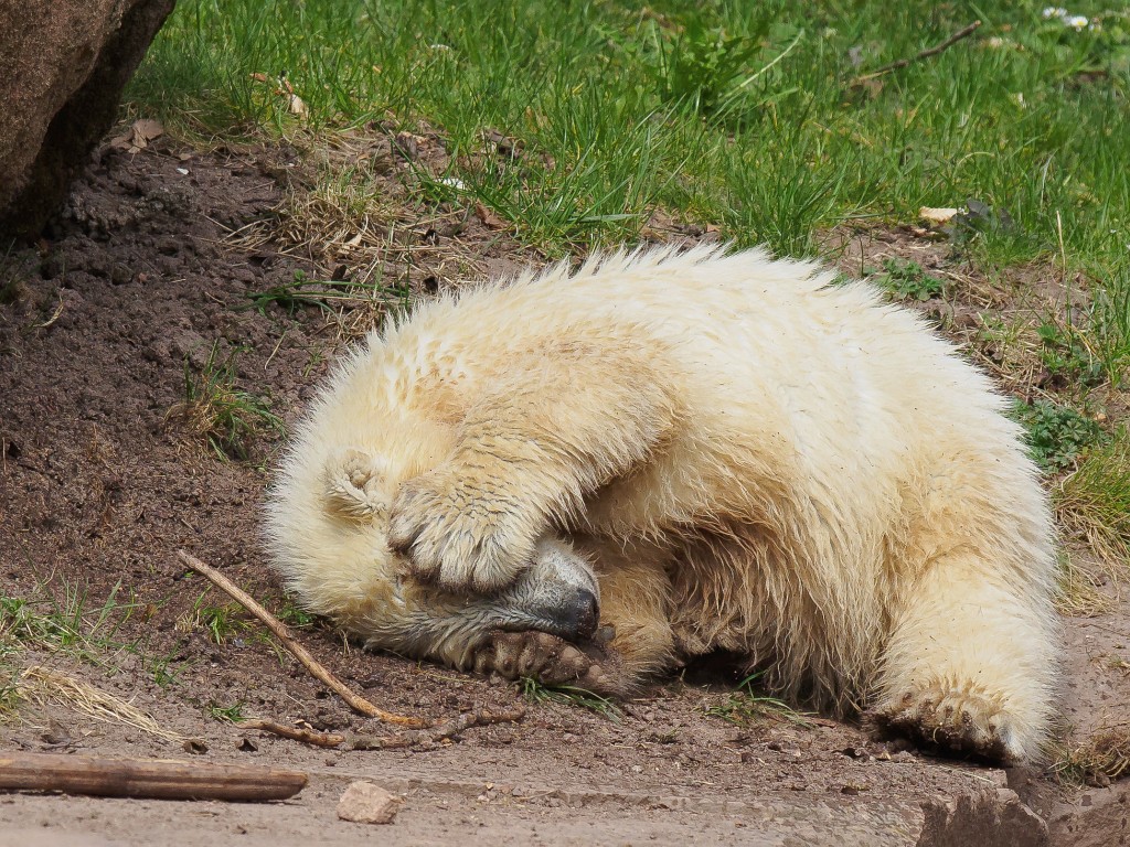P3001083.jpg