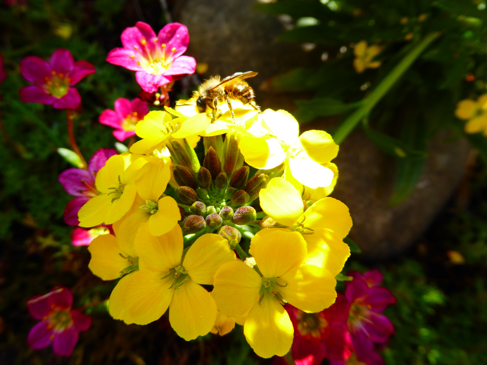 150422_152110.jpg