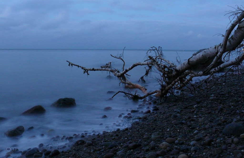 P2800932.JPG