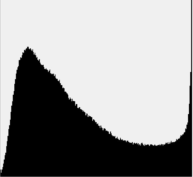 275_Histogramm.JPG