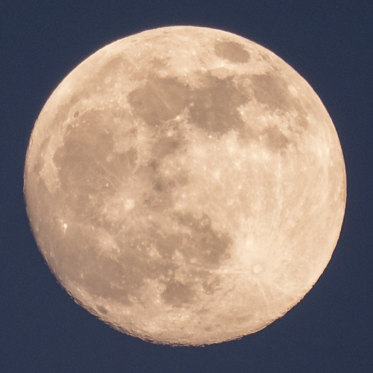 20150502-P1070635.jpg