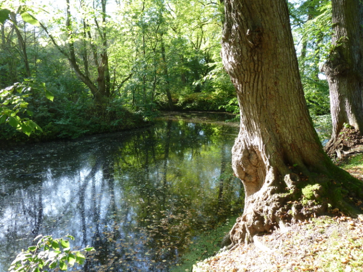 P1000275_klein.jpg