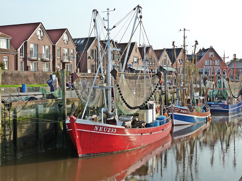 P1000314_klein.JPG