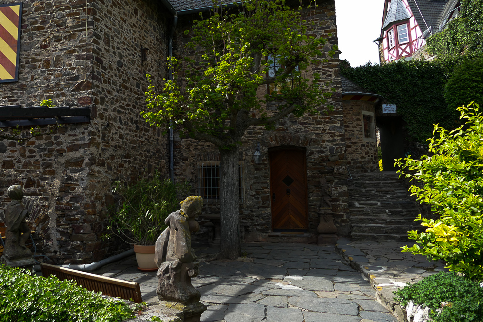 P1140543.jpg