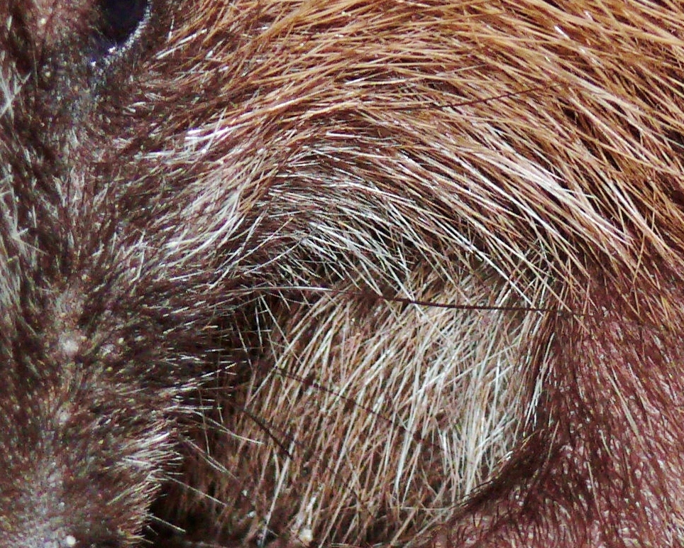 P1170271.JPG