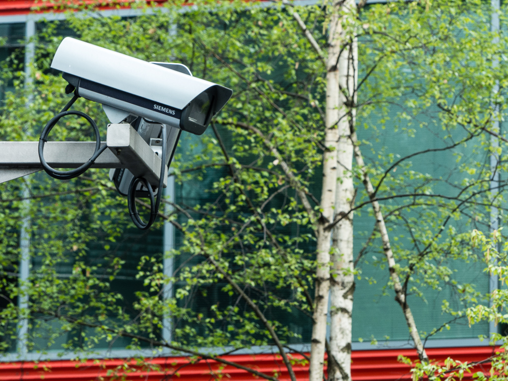 Big brother-1120694.JPG