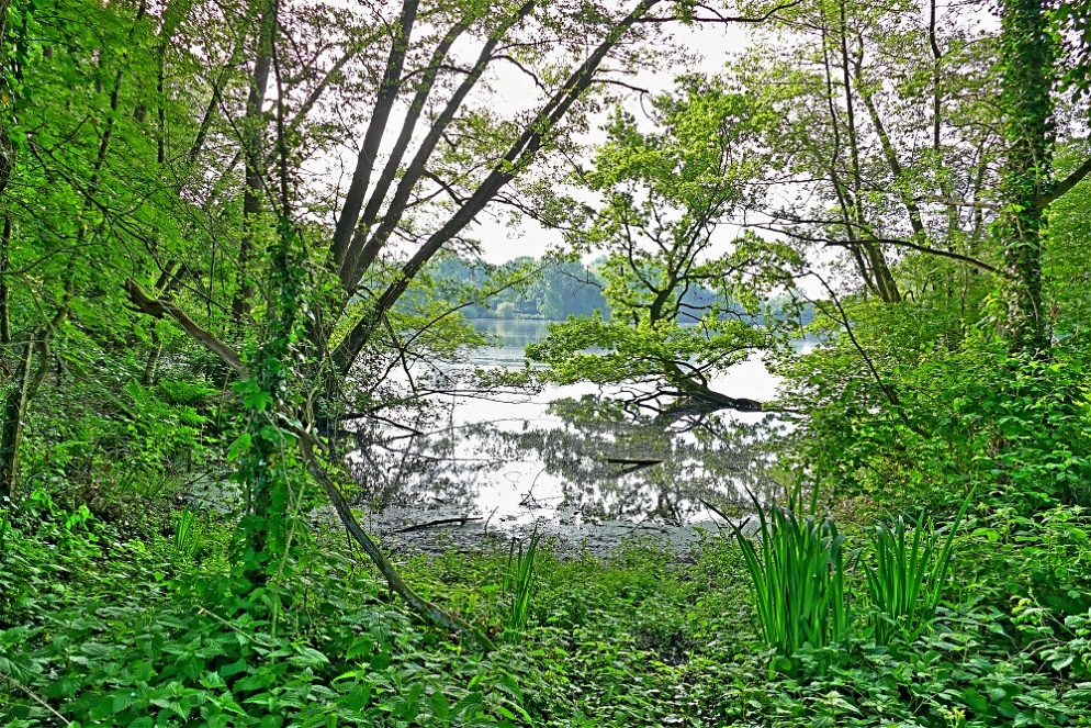 HDR.jpg
