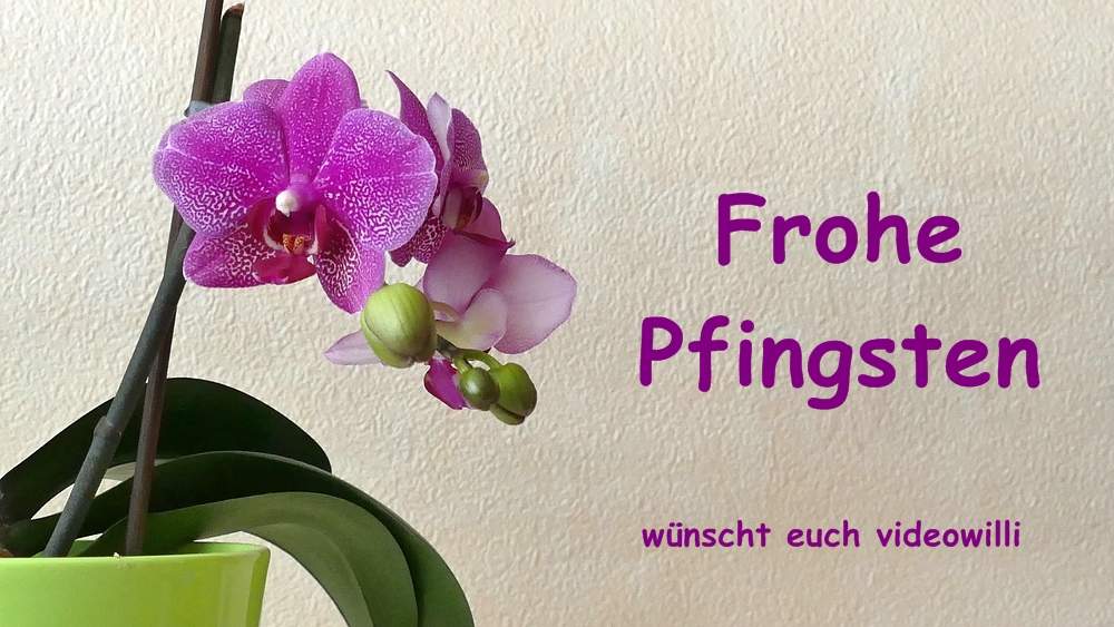 Frohe Pfingsten verkleinert.jpg