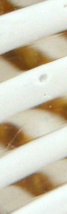 2839612019_0aa3b4a740_o.jpg