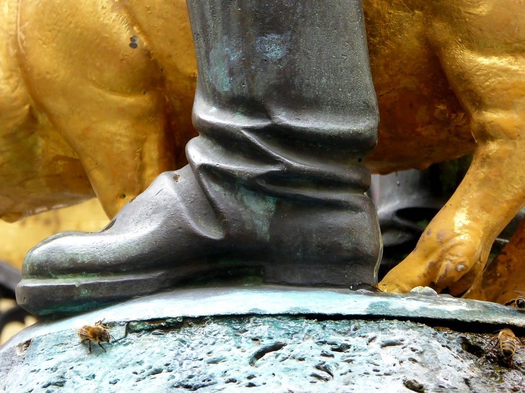 comp_Fotomarathon Stuttgart 2015 (11).jpg