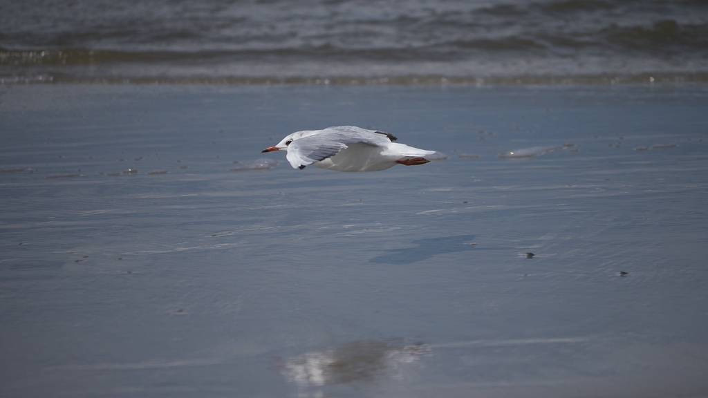 P1030310_R5.jpg
