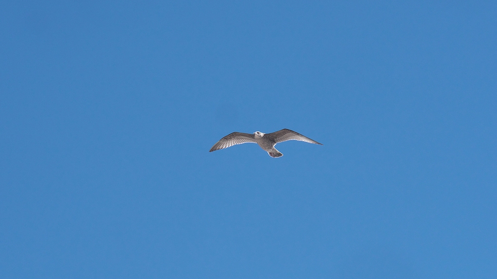 P1030986_R6.jpg