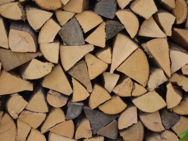 Holz.JPG