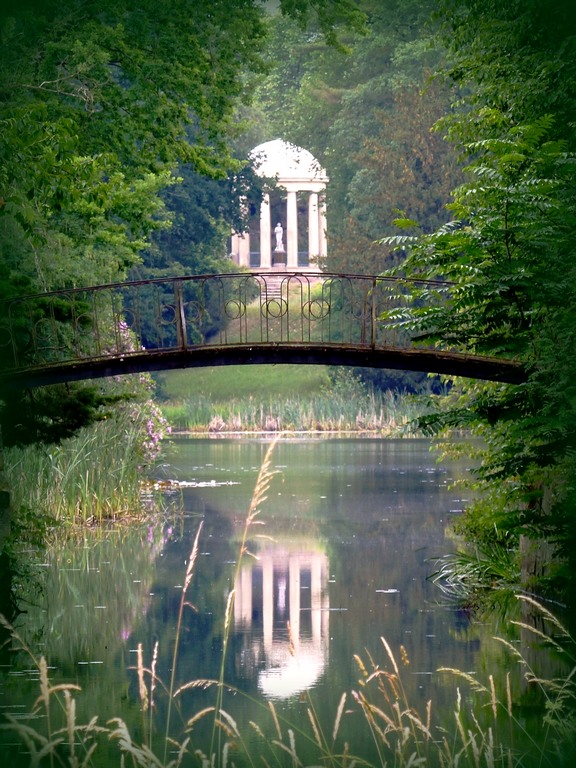 Wörlitzer Sichtachse See.jpg