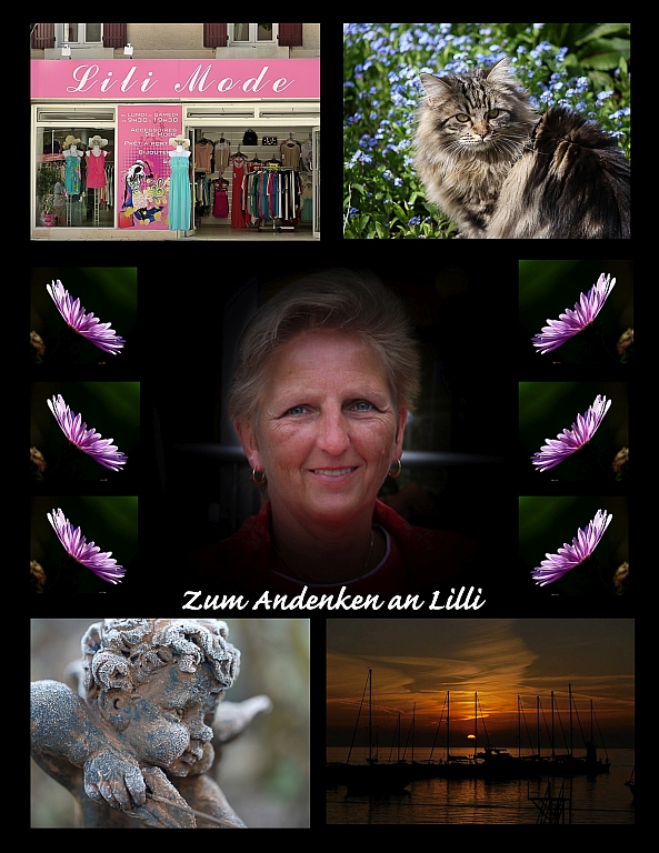 Collage Lilli neu Zum Andenken klein.jpg