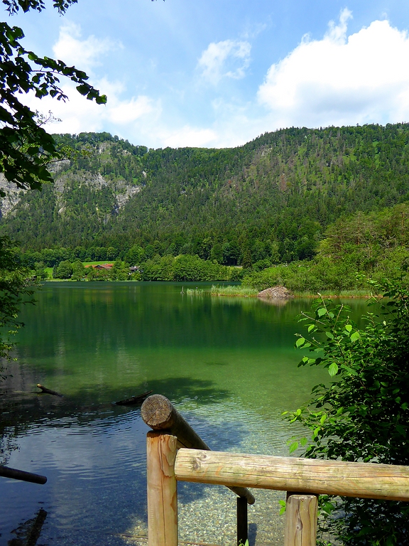 27. Woche (oberbayer)_klein.jpg