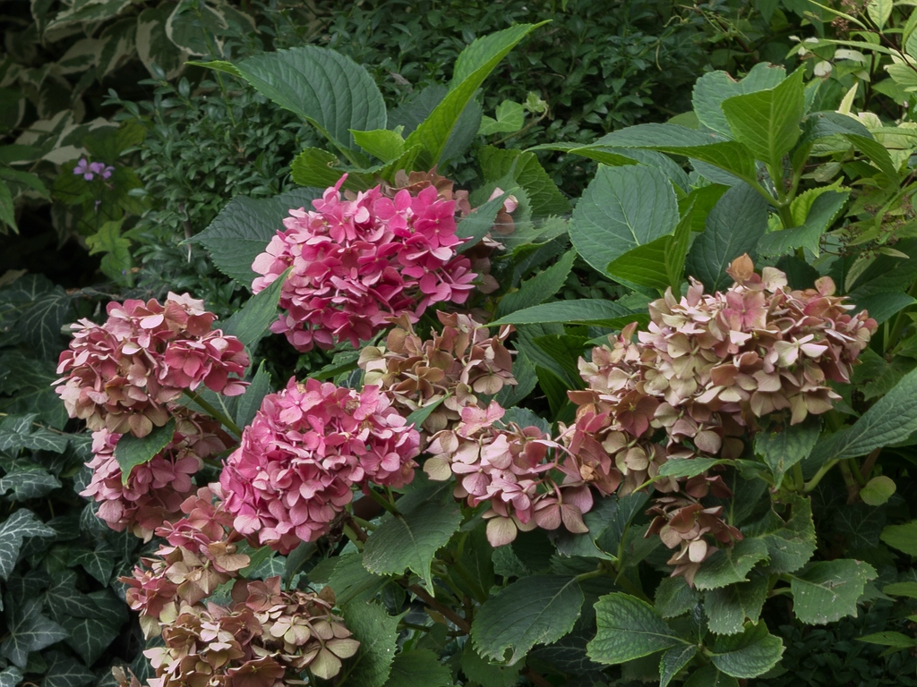 comp_45er_1_crop.jpg