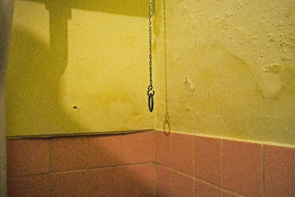 P1070637.jpg