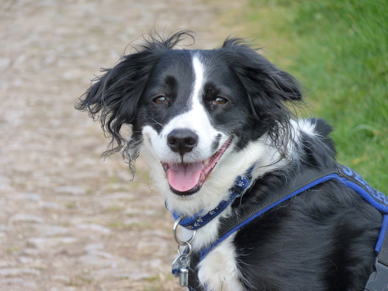 Jerry-Bild19.jpg