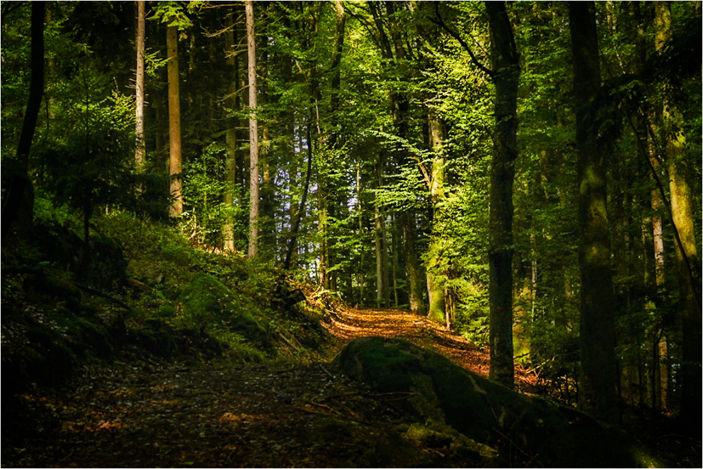 P13501477-bearbeitet.jpg